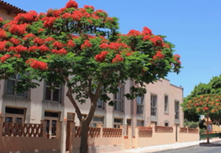Rækkehus i Tijoco Bajo, Tenerife, Tijoco Bajo - € 404.000 | Ref: PP2610 - foto 1